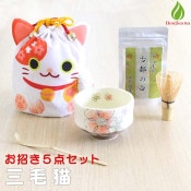 お抹茶セット　木箱入り　普段使いに！ 楽天市場】茶道具 セット 初心者 抹茶セット 本格派 お試し 6点