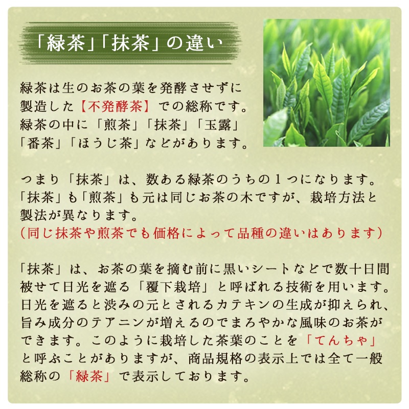 抹茶 薄茶 粉末 宇治抹茶 一服スティック 抹茶 2g × 10本入 ほん