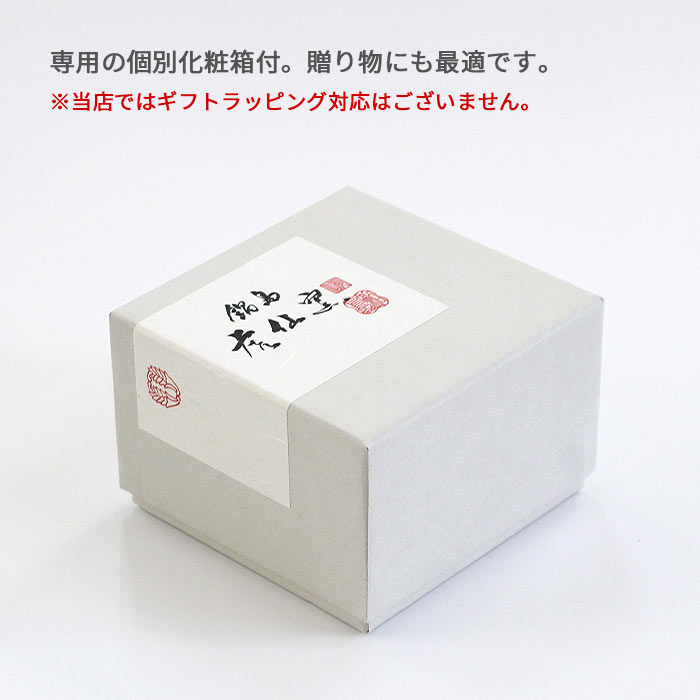 ��������� �����ļ� ������ 2�ĥ��å� 120ml [ ������/�Żҥ��OK ]
