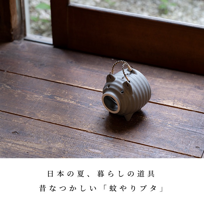 ⤷ƻŹ ߸ž ֥   / 졼 /   