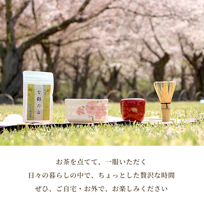 ほんぢ園限定 オリジナル 茶道 抹茶付 カジュアルお茶碗セット