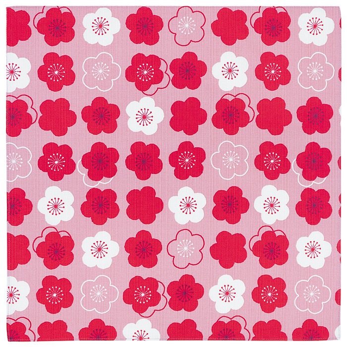 ��Ϥ�� ��������� ����Ϥ�� 48��48cmcm �����ա� ��12�� �ۡ����Ҹ�ȯ����