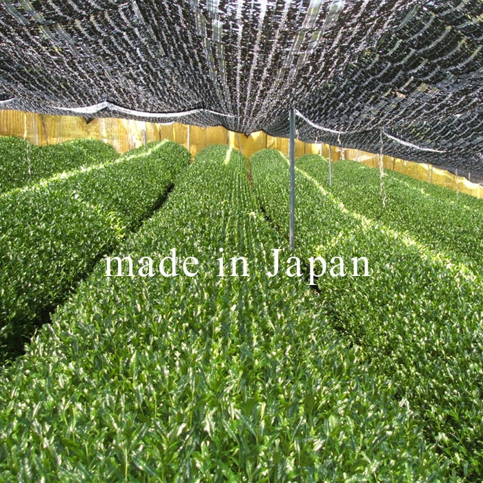 マチャ抹茶様 お仕立てご報告 パウスカート
