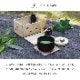 ��ƻ�� ���å� ͷ��Ȣ �� �����ϡʥʥ������/������ �� �ʥ᡼����ľ���ʡˡ����ʸ��Բġ�