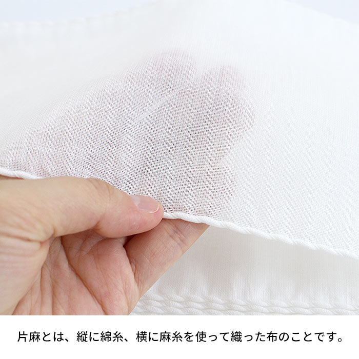 ��ƻ�� ��� ������� 10�� �����Ҹ�ȯ����