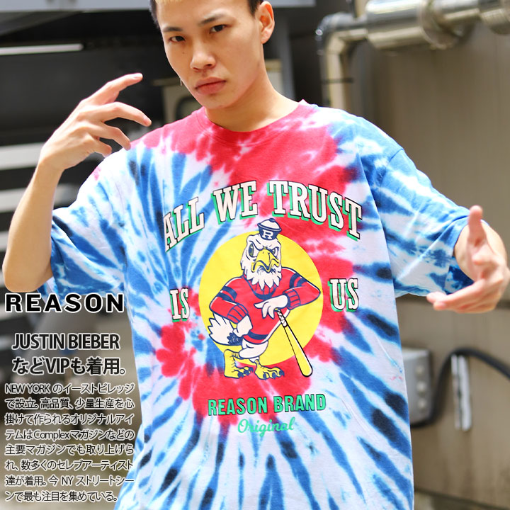 REASON Tシャツ 半袖 メンズ レディース 春夏用 青 大きいサイズ