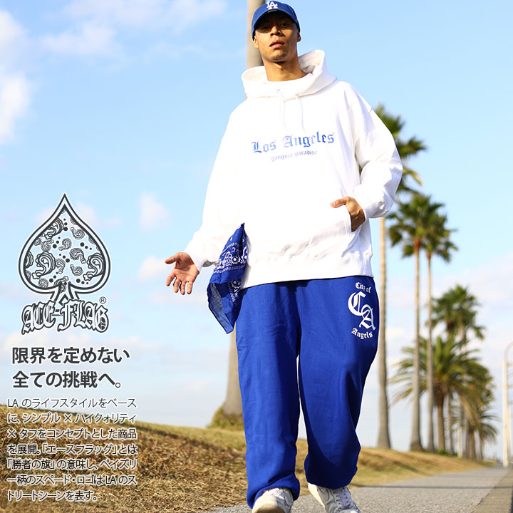 ACEFLAG 上下セット 長袖 ブランド メンズ 春秋冬用 全3色 大きい