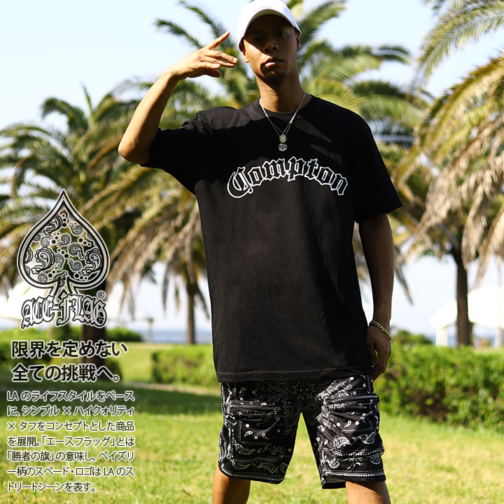 NWA N.W.A. PRODUCT GANGSTA ウエッサイ Tシャツ