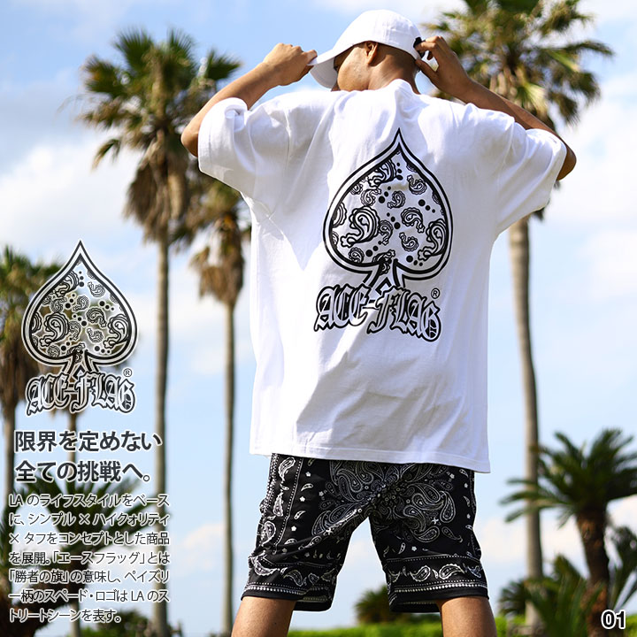 ACE FLAG 上下セット 半袖 ブランド Tシャツ ハーフパンツ 上下 メンズ