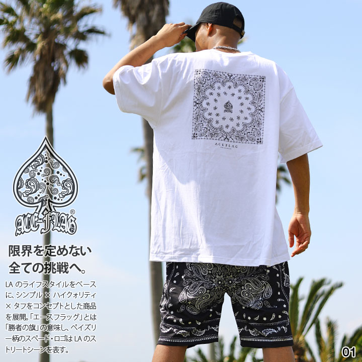 ACE FLAG 上下セット 半袖 ブランド Tシャツ ハーフパンツ 上下 メンズ
