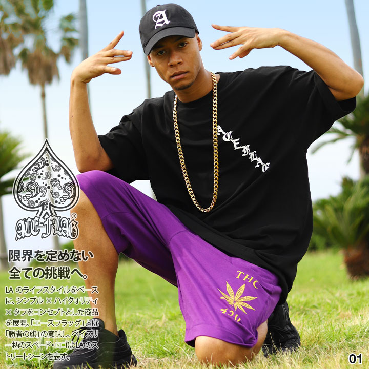入手困難 即納 エースフラッグ ACEFLAG セットアップ 半袖 大麻 ACEFLAG 上下セット 半袖 Tシャツ ハーフパンツ 上下 メンズ 春