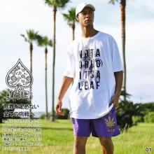 ACE FLAG �岼���å� Ⱦµ �֥��� T����� �ϡ��եѥ�� ��� ��6�� �������ե�å� ���åȥ��å� �ʥ����� �ӥå����륨�å� ���� �ޥ�ե��� �إ�� b�� �ҥåץۥå� ���ȥ꡼�ȷ� �ϥ� AF-SE-TS-081