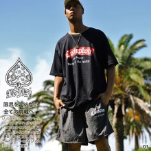 ACE FLAG �岼���å� Ⱦµ �֥��� T����� �ϡ��եѥ�� ��� ��5�� �礭�������� �������ե�å� ���åȥ��å� �ʥ����� Compton �ӥå����륨�å� �ڥ����꡼�� ���ȥ꡼�ȷ� �ϥ� �� ���� AF-SE-TS-078