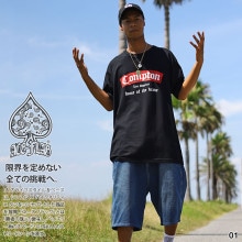 ACE FLAG �岼���å� Ⱦµ �֥��� T����� �ǥ˥� �ϡ��եѥ�� ��� ��/���졼 �礭�������� �������ե�å� ���åȥ��å� Compton ����ץȥ� �ڥ����꡼�� b�� ���ȥ꡼�ȷ� �ϥ� �� ���� AF-SE-TS-085