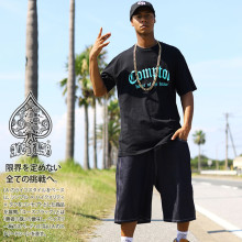 ACE FLAG �岼���å� Ⱦµ T����� �ǥ˥� �ϡ��եѥ�� ��� �ղ��� �� �礭�������� �������ե�å� ���åȥ��å� Compton ����ץȥ� ���� �ӥå����륨�å� �ߥ�� ���ȥ꡼�ȷ� �ϥ� �� ���� AF-SE-TS-093