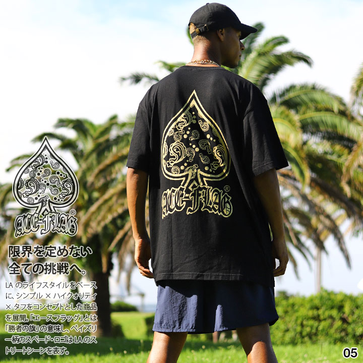 ACE FLAG 上下セット 半袖 ブランド Tシャツ ハーフパンツ メンズ 春夏