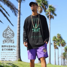ACE FLAG �岼���å� Ĺµ ����T �ϡ��եѥ�� ��� ��6�� �礭�������� �������ե�å� ���åȥ��å� ������� �ӥå����륨�å� ���� �ޥ�ե��� �إ�� ���� b�� �ե��å���� �ս��� ���� AF-SE-LT-041