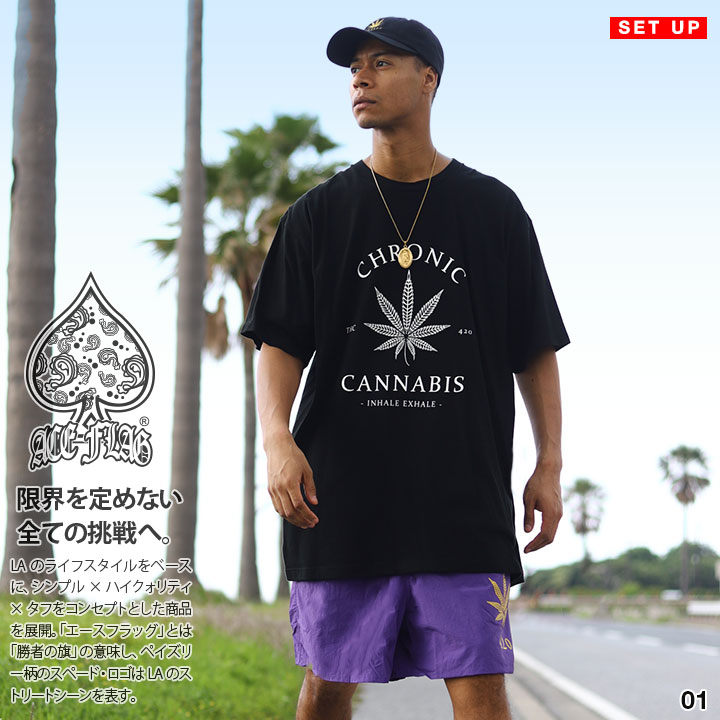 入手困難 即納 エースフラッグ ACEFLAG セットアップ 半袖 大麻 ACE FLAG 上下セット 半袖 ブランド Tシャツ ハーフパンツ