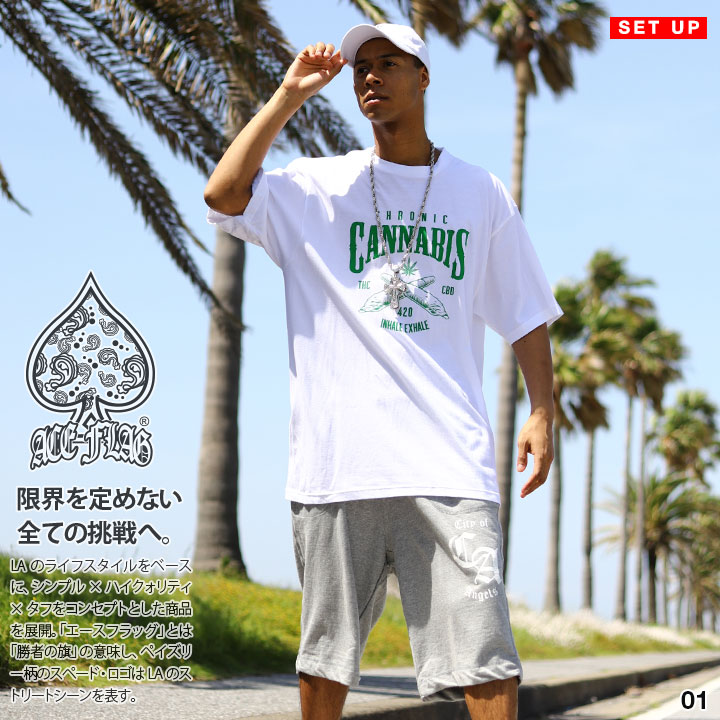 入手困難 エースフラッグ ACEFLAG セットアップ 半袖 大麻 楽天市場】ACE FLAG 上下セット 半袖 ブランド Tシャツ ハーフ