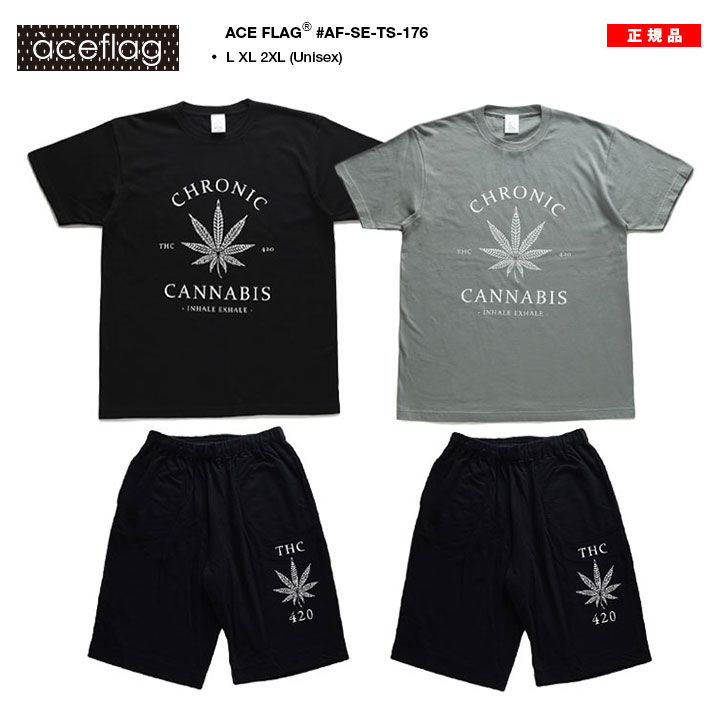 ACE FLAG 上下セット 半袖 ブランド Tシャツ ハーフパンツ メンズ 春夏