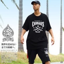 ACE FLAG �岼���å� Ⱦµ �֥��� T����� �ϡ��եѥ�� ��� �ղ��� ��3�� �礭�������� �������ե�å� ���åȥ��å� �Хå� ���� �ޥ�ե��� �إ�� ���� �ӥå����륨�å� b�� �ҥåץۥå� ���ȥ꡼�ȷ� �ϥ� ���� AF-SE-TS-177