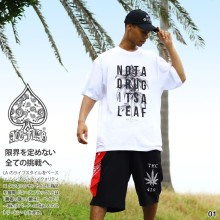 ACE FLAG �岼���å� Ⱦµ �֥��� T����� �ϡ��եѥ�� ��� �ղ��� ��2�� �礭�������� �������ե�å� ���åȥ��å� ΢�ѥ��� �Хå� ���� �ޥ�ե��� �إ�� ���� �ӥå����륨�å� b�� �ҥåץۥå� ���ȥ꡼�ȷ� �ϥ� ���� AF-SE-TS-180