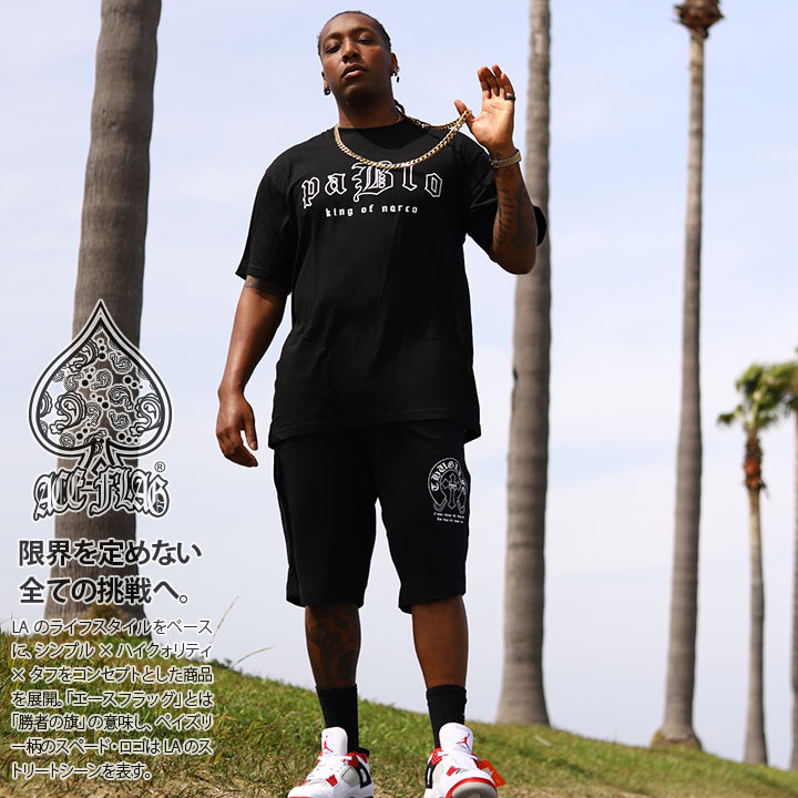 ACE FLAG 上下セット 半袖 ブランド Tシャツ ハーフパンツ メンズ 春夏