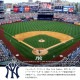 MLB �˥塼�衼����󥭡��� �������� Ĺµ ��������� �֥륾�� �쥶�� ���ȥ꡼�� ��� �ս����� �� �礭�������� ��󥭡��� NY ���� ���������ॸ���ѡ� �ɴ��� �ɽ� ��åڥ� b�� �ҥåץۥå� �ե��å���� ���ȥ꡼�ȷ� �֥��� �� 2023���� ���� ML2322FW0030