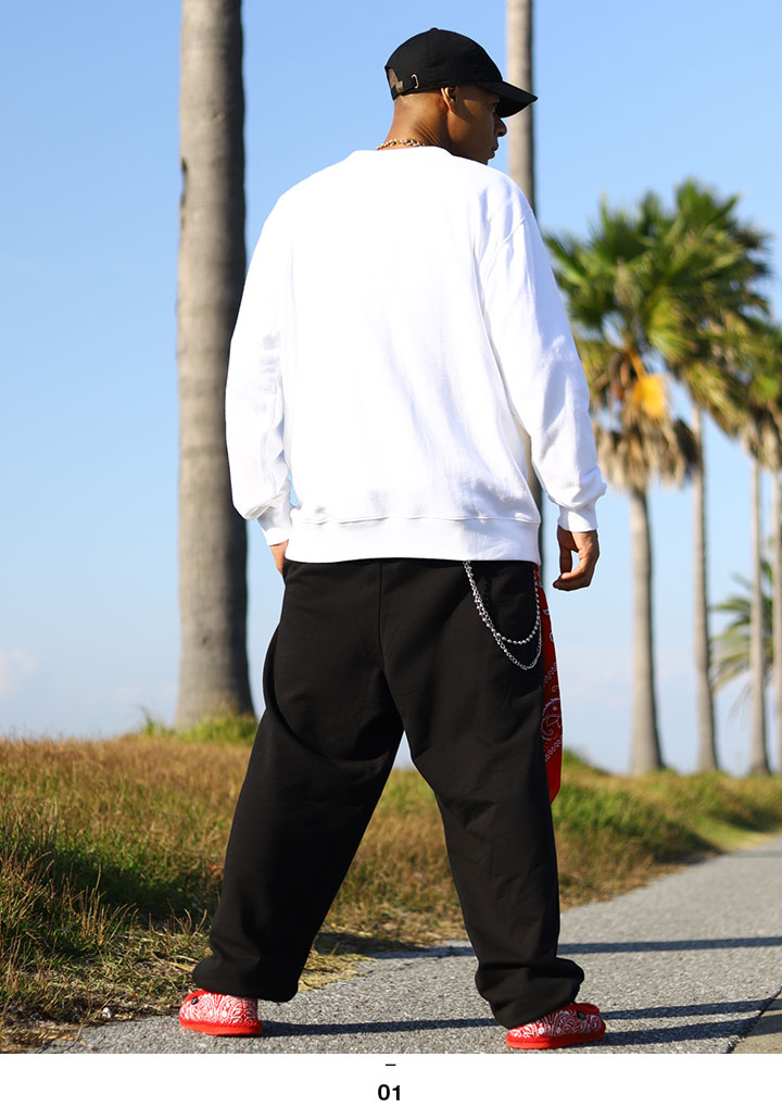 ACE FLAG 岼å Ĺµ ܡ  ս / 礭 եå åȥå ȥ졼ʡ 岼 Compton ץȥ ɽ ӥå륨å b ҥåץۥå ȥ꡼ȷ ϥ  AF-SE-SW-025