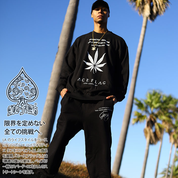 ACE FLAG �岼���å� Ĺµ �֥��� ��� �ս����� �� �礭�������� �������ե�å� ���åȥ��å� �ȥ졼�ʡ� �������åȥѥ�� Gang ����� 2Pac ���� �ޥ�ե��� �إ�� �ӥå����륨�å� b�� �ҥåץۥå� �ե��å���� ���ȥ꡼�ȷ� ���� AF-SE-SW-124