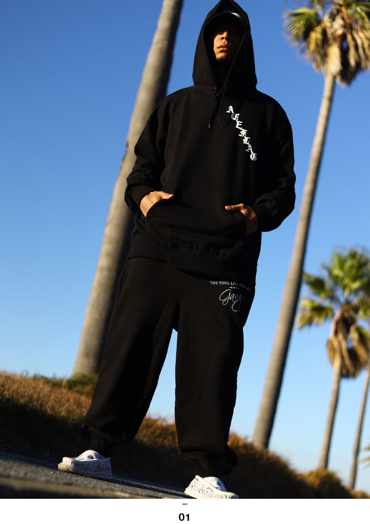 ACE FLAG 岼å Ĺµ ֥  ս  礭 եå åȥå ѡ աǥ å åȥѥ b ȥѥå CS 󥵥ե ӥå륨å ҥåץۥå ȥ꡼ȷ  AF-SE-PA-106