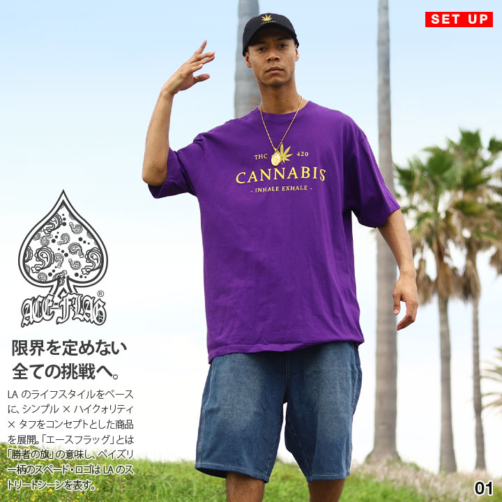ACE FLAG 上下セット 半袖 ブランド Tシャツ デニム ハーフパンツ
