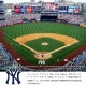 MLB ���� ��󥭡��� NY ���� �������� Ĺµ ��������� ���ȥ� �֥륾�� ���ȥ꡼�� �˥塼�衼����󥭡��� ��� �� �礭�������� ���������ॸ���ѡ� ����ץ� b�� �ҥåץۥå� �ե��å���� ���ȥ꡼�ȷ� �֥��� �� ML2322FW0031