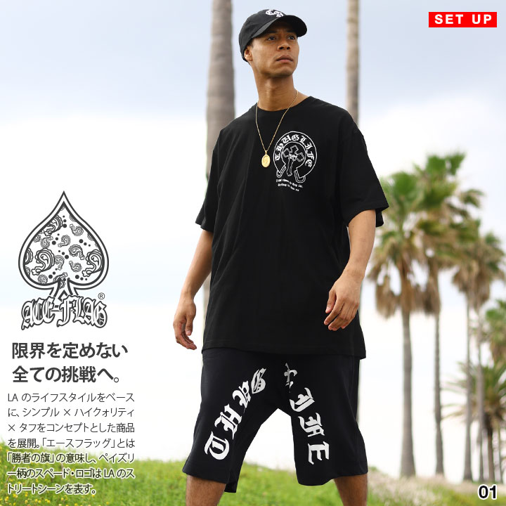 ACE FLAG �岼���å� Ⱦµ �֥��� T����� �ϡ��եѥ�� ��� �ղ��� �� �� �礭�������� �������ե�å� ���åȥ��å� �ӥå����륨�å� ���� ������ ������ 2Pac b�� �ҥåץۥå� �ե��å���� ���� ���ȥ꡼�ȷ� �ϥ� ���� AF-SE-TS-144
