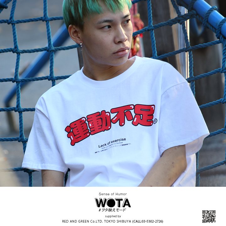 WB-TS-TS-005 �򥿱Ǥ��⡼�� T����� �����ܹ�