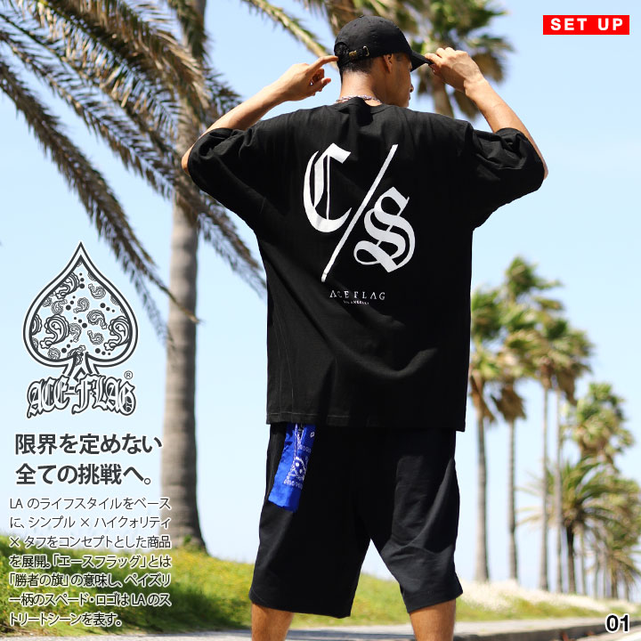 ACE FLAG �岼���å� Ⱦµ �֥��� T����� �ϡ��եѥ�� ��� �ղ��� ��4�� �礭�������� �������ե�å� ���åȥ��å� ��ä��� �������å� S ���󥵥ե��� CS �ӥå����륨�å� b�� �ҥåץۥå� ���ȥ꡼�ȷ� �ϥ� ���� AF-SE-TS-146