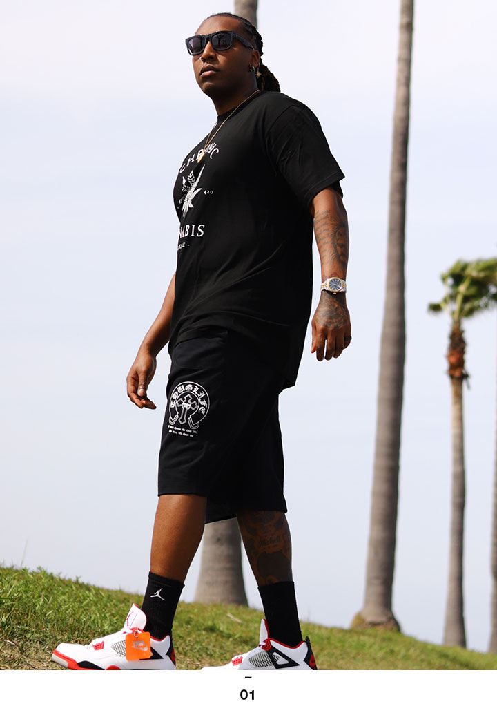 ACE FLAG �岼���å� Ⱦµ �֥��� T����� �ϡ��եѥ�� ��� �ղ��� �� ���졼 �礭�������� �������ե�å� ���åȥ��å� 2Pac ���� ���� �ޥ�ե��� ���󥸥� �إ�� HEMP �ӥå����륨�å� b�� �ҥåץۥå� �ե��å���� ���ȥ꡼�ȷ� 2025�ղ� ���� AF-SE-TS-196