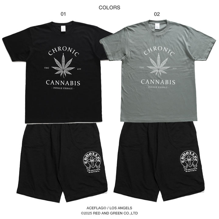 ACE FLAG �岼���å� Ⱦµ �֥��� T����� �ϡ��եѥ�� ��� �ղ��� �� ���졼 �礭�������� �������ե�å� ���åȥ��å� 2Pac ���� ���� �ޥ�ե��� ���󥸥� �إ�� HEMP �ӥå����륨�å� b�� �ҥåץۥå� �ե��å���� ���ȥ꡼�ȷ� 2025�ղ� ���� AF-SE-TS-196