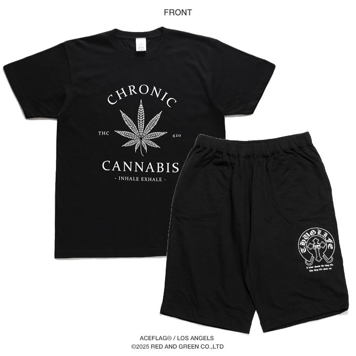 ACE FLAG �岼���å� Ⱦµ �֥��� T����� �ϡ��եѥ�� ��� �ղ��� �� ���졼 �礭�������� �������ե�å� ���åȥ��å� 2Pac ���� ���� �ޥ�ե��� ���󥸥� �إ�� HEMP �ӥå����륨�å� b�� �ҥåץۥå� �ե��å���� ���ȥ꡼�ȷ� 2025�ղ� ���� AF-SE-TS-196