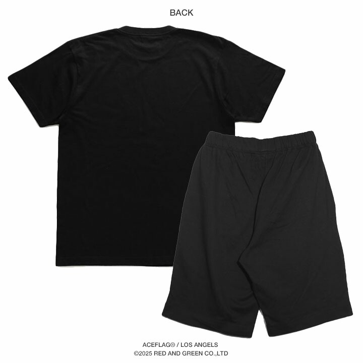 ACE FLAG �岼���å� Ⱦµ �֥��� T����� �ϡ��եѥ�� ��� �ղ��� �� ���졼 �礭�������� �������ե�å� ���åȥ��å� 2Pac ���� ���� �ޥ�ե��� ���󥸥� �إ�� HEMP �ӥå����륨�å� b�� �ҥåץۥå� �ե��å���� ���ȥ꡼�ȷ� 2025�ղ� ���� AF-SE-TS-196