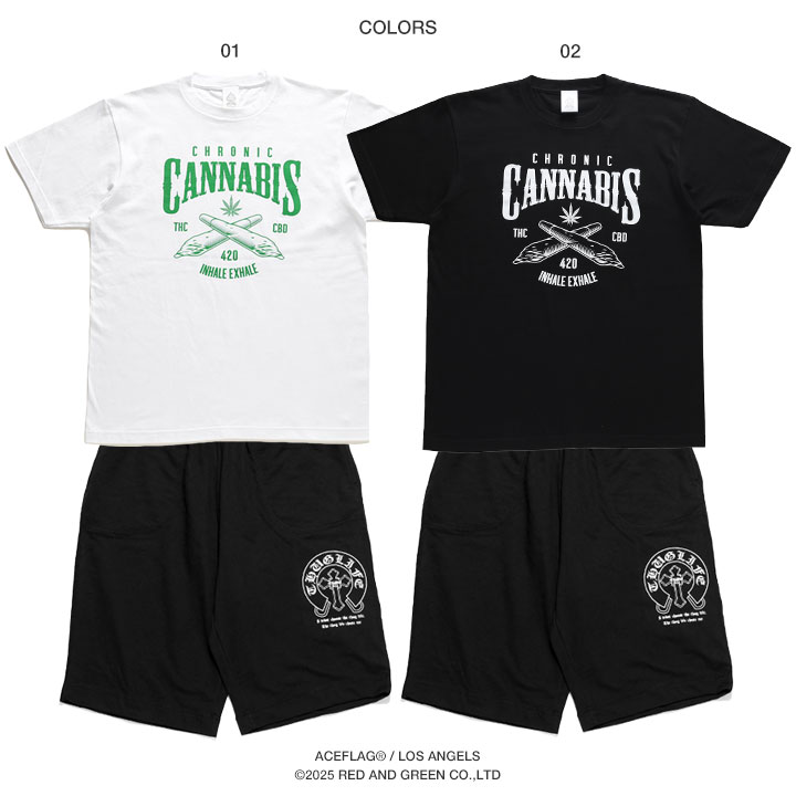 ACE FLAG �岼���å� Ⱦµ �֥��� T����� �ϡ��եѥ�� ��� �ղ��� �� �� �礭�������� �������ե�å� ���åȥ��å� ΢�ѥ��� ������� ���ä����� ���� �إ�� HEMP �ӥå����륨�å� b�� �ҥåץۥå� �ե��å���� ���ȥ꡼�ȷ� �ϥ� 2025�ղ� ���� AF-SE-TS-197