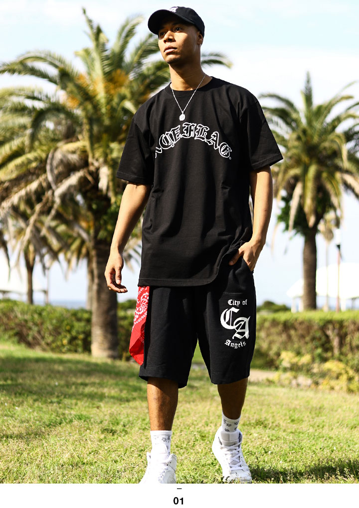 ACE FLAG �岼���å� Ⱦµ T����� �ϡ��եѥ�� �岼 ��� �� �礭�������� �������ե�å� ���åȥ��å� ��ä��� ���硼�ȥѥ�� LA �֥��ɥ��� b�� �ҥåץۥå� �ե��å���� ���� ���ȥ꡼�ȷ� AF-SE-TS-030