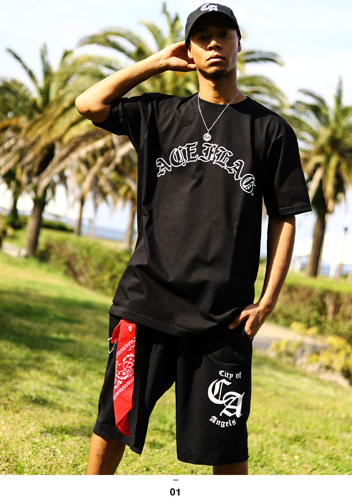ACE FLAG �岼���å� Ⱦµ T����� �ϡ��եѥ�� �岼 ��� �� �礭�������� �������ե�å� ���åȥ��å� ��ä��� ���硼�ȥѥ�� LA �֥��ɥ��� b�� �ҥåץۥå� �ե��å���� ���� ���ȥ꡼�ȷ� AF-SE-TS-030