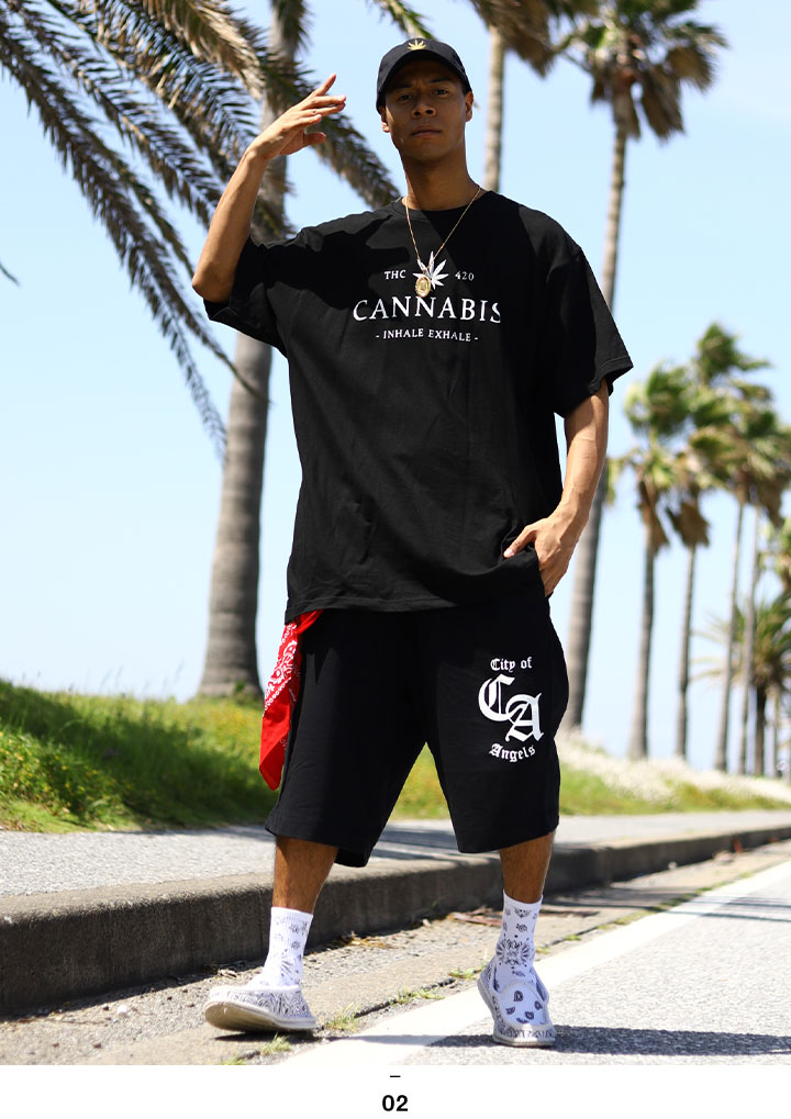 ACE FLAG �岼���å� Ⱦµ �֥��� T����� �ϡ��եѥ�� ��� �ղ��� ��3�� �礭�������� �������ե�å� ���åȥ��å� ΢�ѥ��� �Хå� ���� �ޥ�ե��� �إ�� �ӥå����륨�å� b�� �ҥåץۥå� ���ȥ꡼�ȷ� �ϥ� ���� AF-SE-TS-149