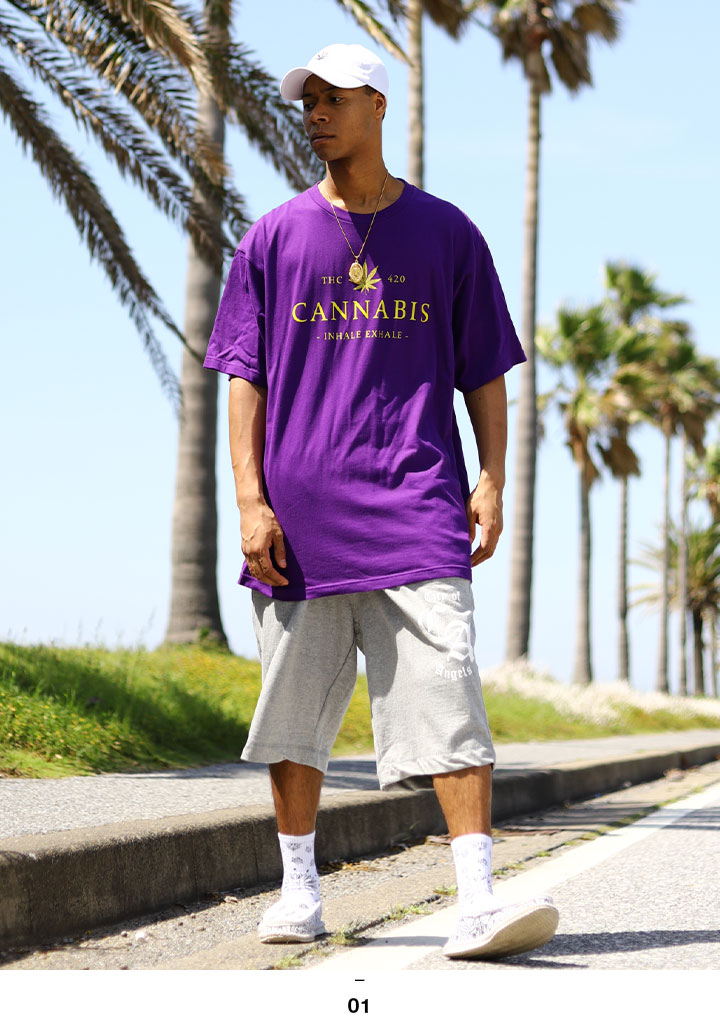 ACE FLAG �岼���å� Ⱦµ �֥��� T����� �ϡ��եѥ�� ��� �ղ��� ��3�� �礭�������� �������ե�å� ���åȥ��å� ΢�ѥ��� �Хå� ���� �ޥ�ե��� �إ�� �ӥå����륨�å� b�� �ҥåץۥå� ���ȥ꡼�ȷ� �ϥ� ���� AF-SE-TS-149