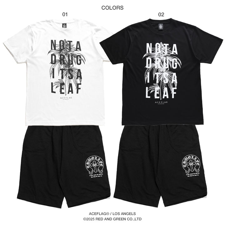 ACE FLAG �岼���å� Ⱦµ �֥��� T����� �ϡ��եѥ�� ��� �ղ��� �� �� �礭�������� �������ե�å� ���åȥ��å� �������å� ΢�ѥ��� 2Pac ���� �إ�� HEMP �ӥå����륨�å� b�� �ҥåץۥå� �ե��å���� ���ȥ꡼�ȷ� �ϥ� 2025�ղ� ���� AF-SE-TS-199