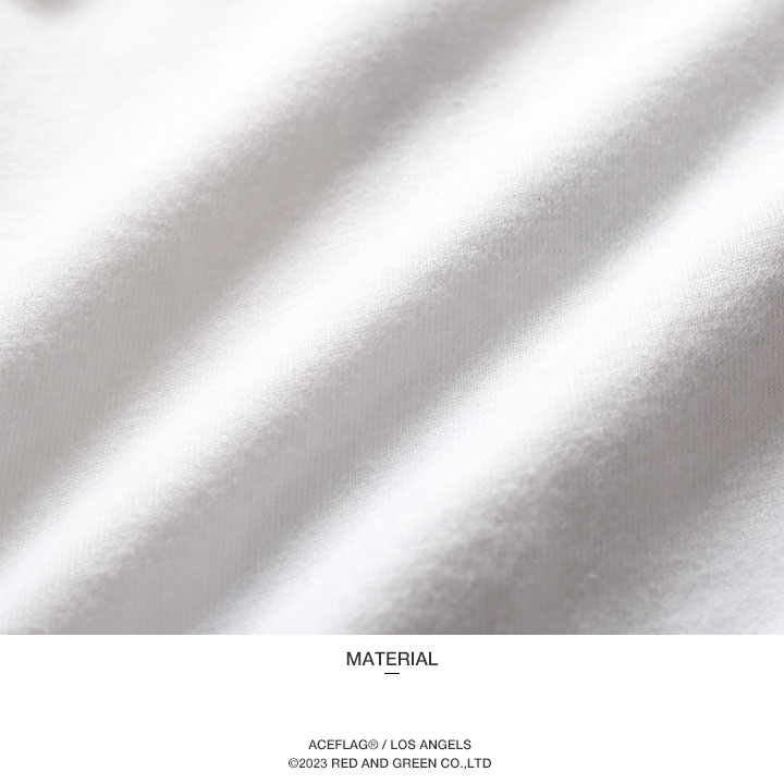 ACE FLAG �岼���å� Ⱦµ �֥��� T����� �ϡ��եѥ�� ��� �ղ��� �� �� �礭�������� �������ե�å� ���åȥ��å� �������å� ΢�ѥ��� 2Pac ���� �إ�� HEMP �ӥå����륨�å� b�� �ҥåץۥå� �ե��å���� ���ȥ꡼�ȷ� �ϥ� 2025�ղ� ���� AF-SE-TS-199