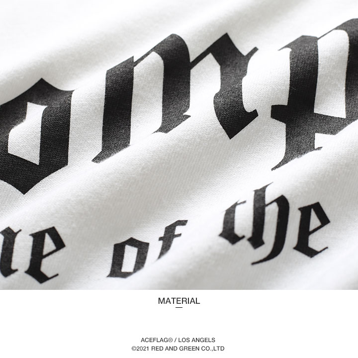 ACE FLAG �岼���å� Ĺµ T����� ����T �֥��� �������å� �ϡ��եѥ�� ��� �ս����� �� �� �礭�������� �������ե�å� ���åȥ��å� Compton ����ץȥ� �����饤�� �ӥå����륨�å� b�� �ҥåץۥå� �ե��å���� ���ȥ꡼�ȷ� 2025�ղ� ���� AF-SE-LT-130