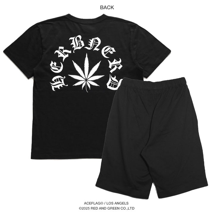 ACE FLAG �岼���å� Ⱦµ �֥��� T����� �ϡ��եѥ�� ��� �ղ��� �� �礭�������� �������ե�å� ���åȥ��å�  2Pac ���� �إ�� HEMP �ӥå����륨�å� b�� �ҥåץۥå� �ե��å���� ���� ���ȥ꡼�ȷ� �ϥ� 2025�ղ� ���� AF-SE-TS-200