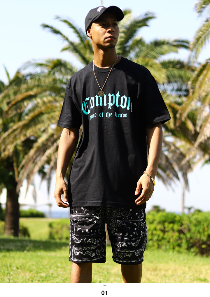 ACE FLAG 岼å Ⱦµ T ϡեѥ 岼   եå åȥå LA ڥ꡼ Compton ץȥ ɥ꡼ b ҥåץۥå եå  ȥ꡼ȷ AF-SE-TS-053